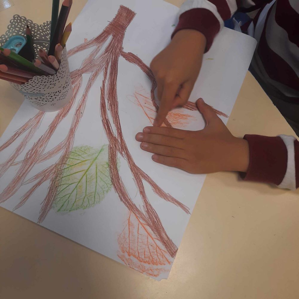 Trabalhos de decalque das folhas 1