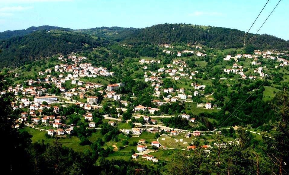 село Върбина