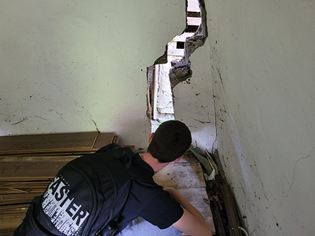 Which natural hazards could damage the area where you live?