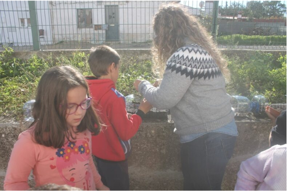 Alimentação saudável e sustentável 