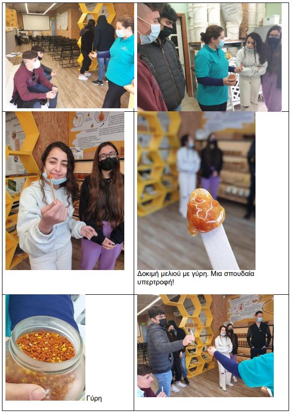 Η αξία των μελισσών