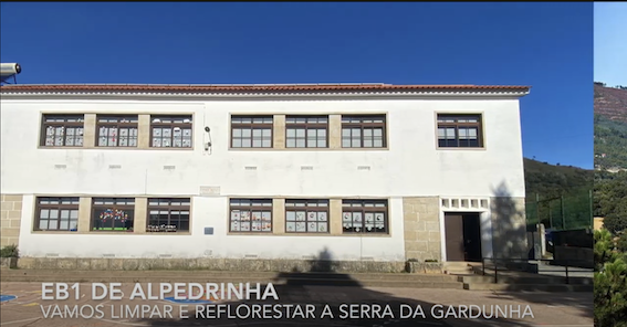 Vamos limpar e reflorestar a Serra da Gardunha