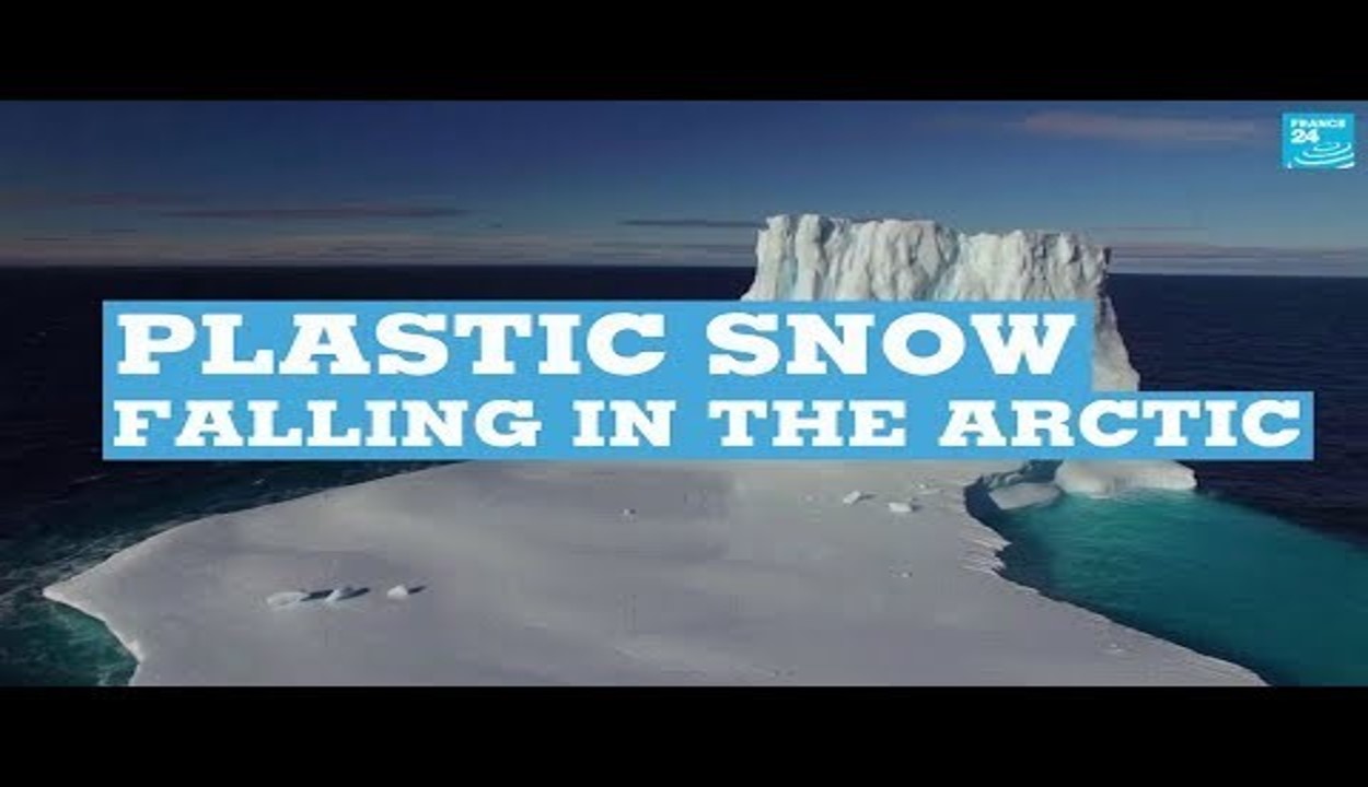 plastic in the arctic
