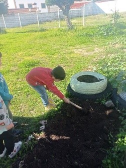 Os alunos recuperam a horta biológica da escola de comenda.