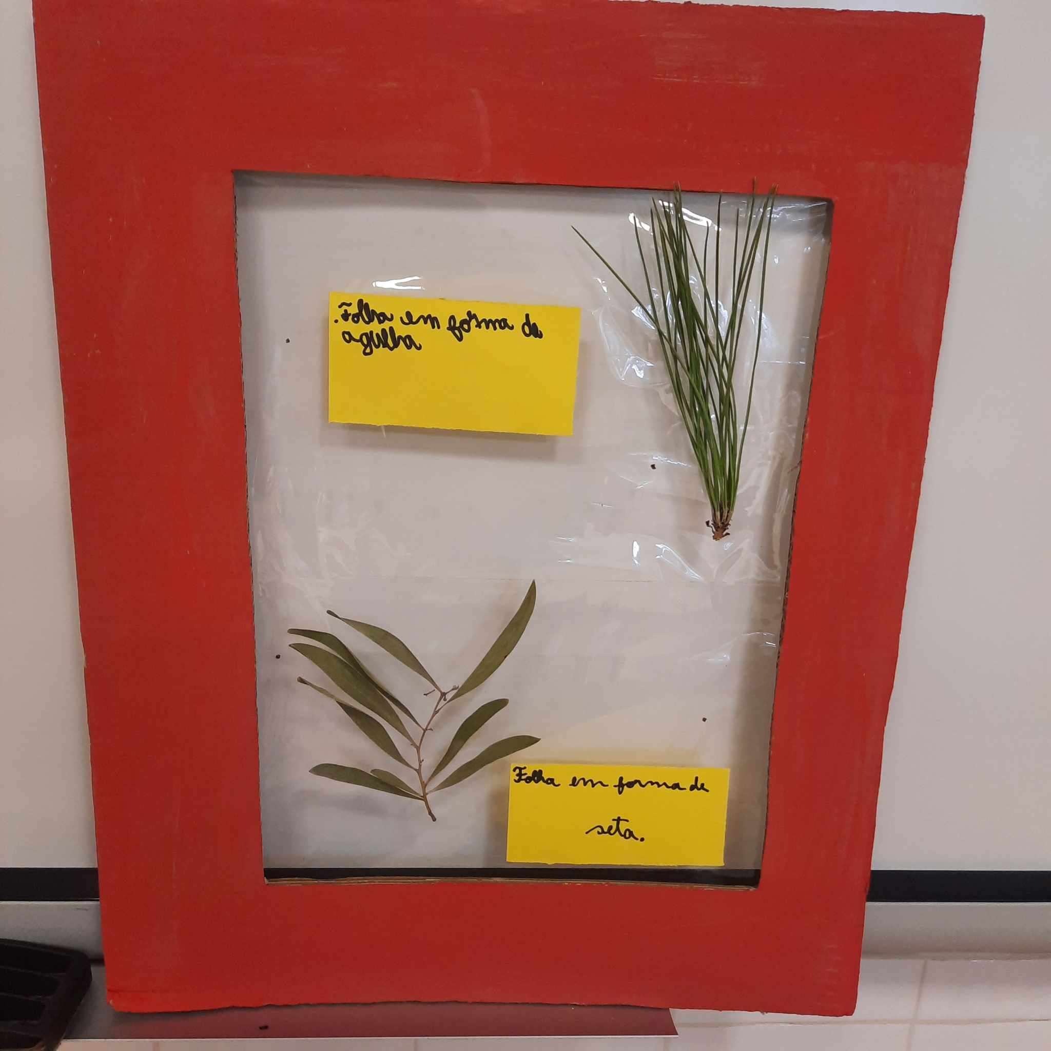 Compilação dos trabalhos 1