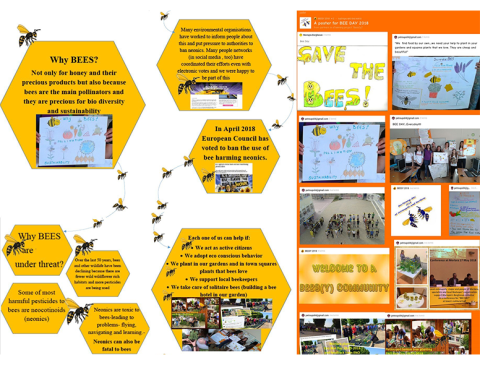 Meet "BEES(Y)", a project among two OSOS schools from Greece and Italy