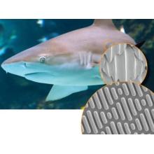 INSPIRING ENGINEERING - FROM NATURE TO COMMUNITY - קבוצה 2 חיפה 