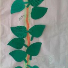 «Δημιουργούμε το φυτολόγιο των βοτάνων» 