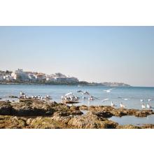 ΑΕΙΦΟΡΙΑ ΚΑΙ ΑΝΘΡΩΠΟΣ – ΘΑΛΑΣΣΑ