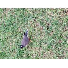 The Hub - חטב שקד קריית חיים, קבוצה 7