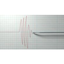 seismogram