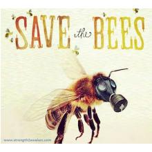 Bees for the Future