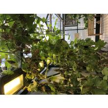 Explore Our Brain - גבעתיים קבוצה 7 