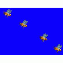 Bees(y)