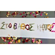 ΣΤΟ ΒΑΘΟΣ ΚΗΠΟΣ: αρχές και πρακτικές αειφορίας και βιώσιμης οικιακής οικονομίας