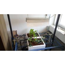 Ενυδρειοπονία, μια θρεπτική συμβίωση