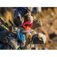 Marine Litter: “Searching for the usual suspects …at my beach”