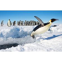 INSPIRING ENGINEERING - FROM NATURE TO COMMUNITY - קבוצה 1 חיפה 