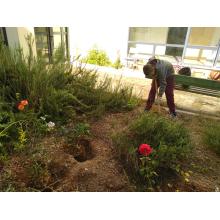 Η ποιότητα ζωής των ανθρώπων περνά μέσα από τους σχολικούς κήπους