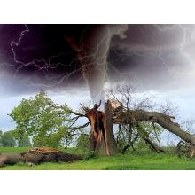 Natural Disasters