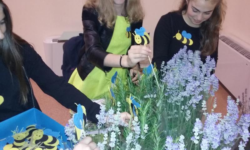 Students prepare bees for the conference