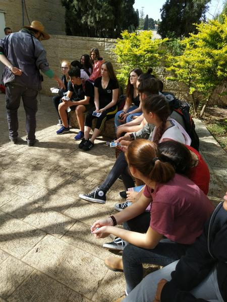 learning about animals in the zoo