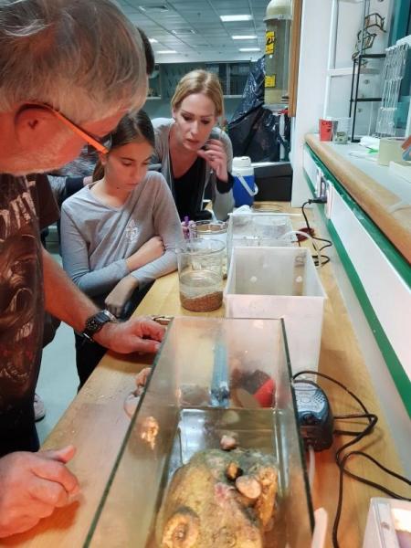 ביצוע המחקר באשכול הפיס