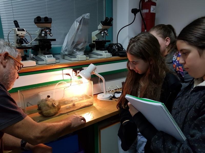 מבצעים את המחקר במעבדה