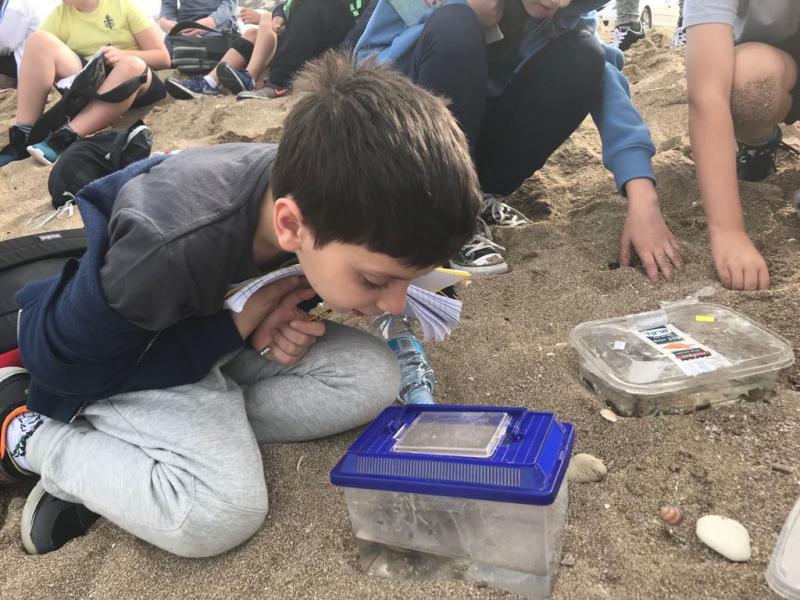 חוקרים בעלי חיים בחוף הים