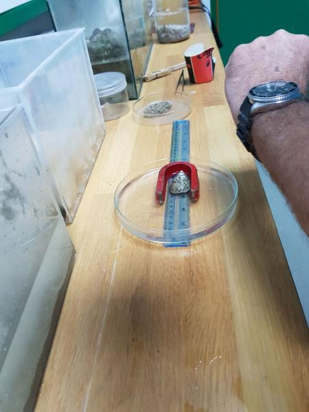 מדידת מרחק תנועה של הכיפה הסרוגה בטמפרטורות מים שונות