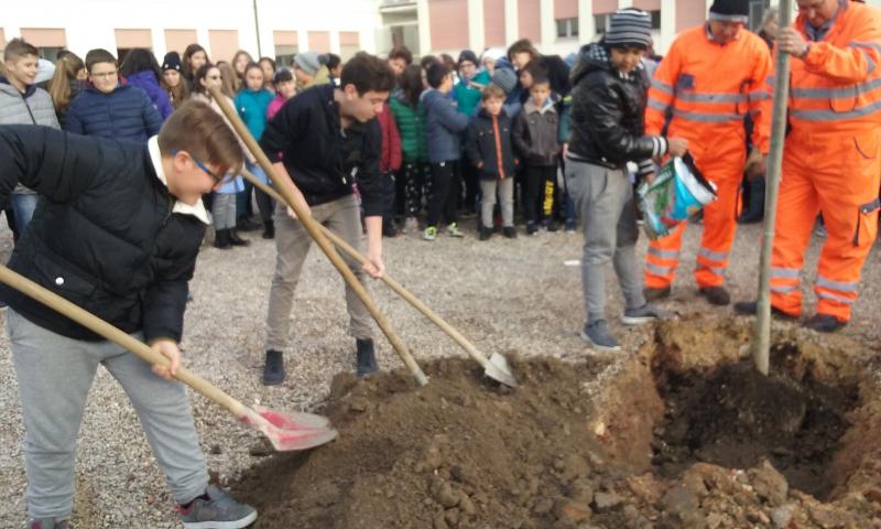 Planting the third tree