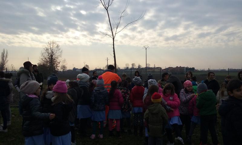 Planting a second tree