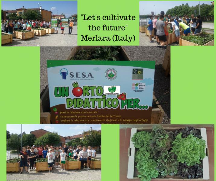 Final steps of our project