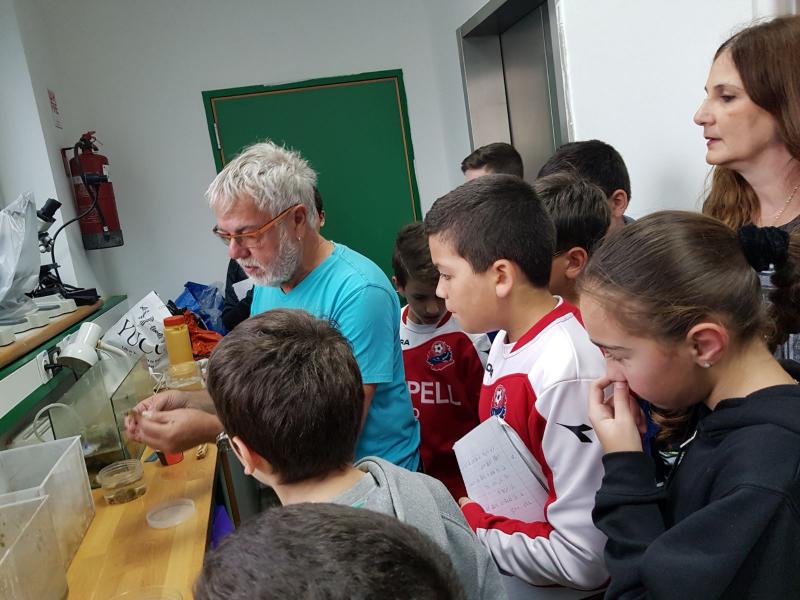 המחקר שביצענו בסיוע הורים והחוקר הימי