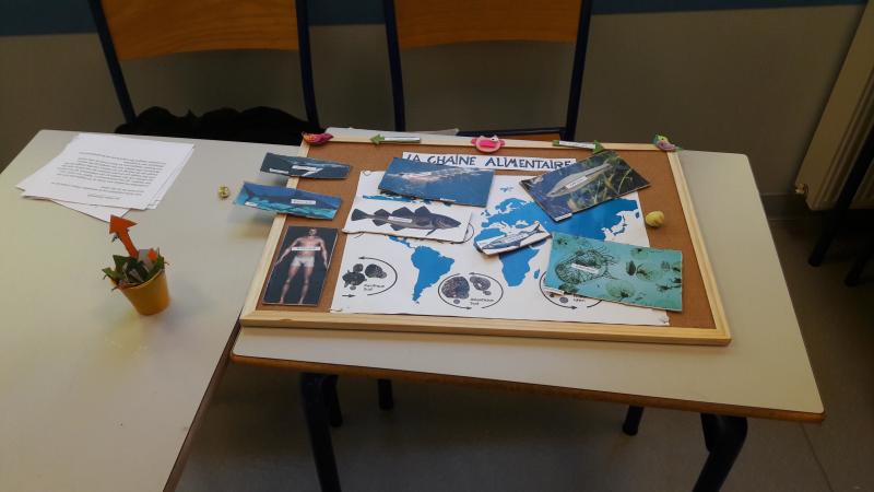 Atelier 4 