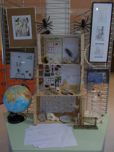 maquette bis 
