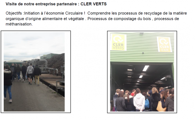 Cler Vert