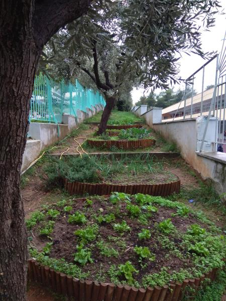 Ο κήπος μας
