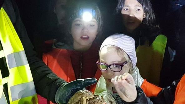 I bambini e il rospo BUFO Bufo