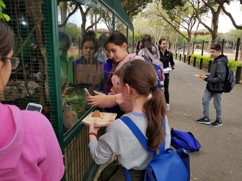 ביצוע הניסוי בחי פארק