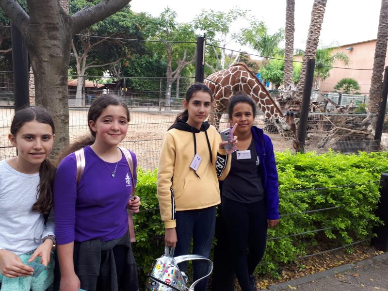 תצפית בגן החיות