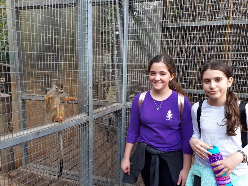 סיור בגן חיות