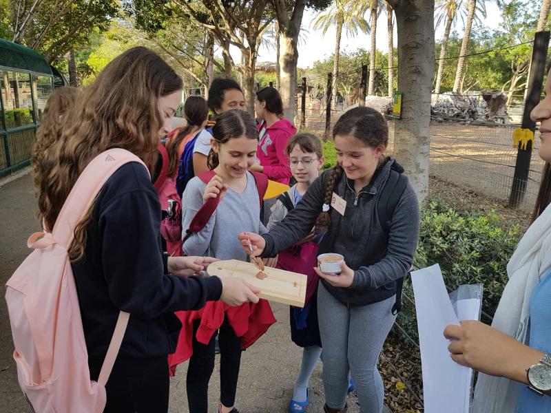 מודדים את מסת המזון לפני הכנסה לכלובים
