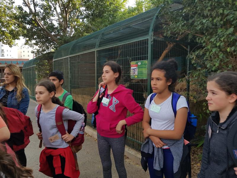 תצפית בגן החיות בכלובי הקופים