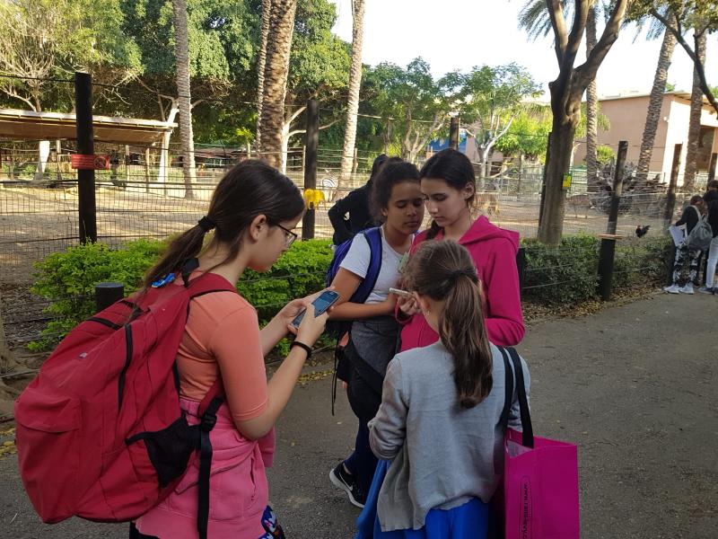 מודדים את המזון על מגשי המזון