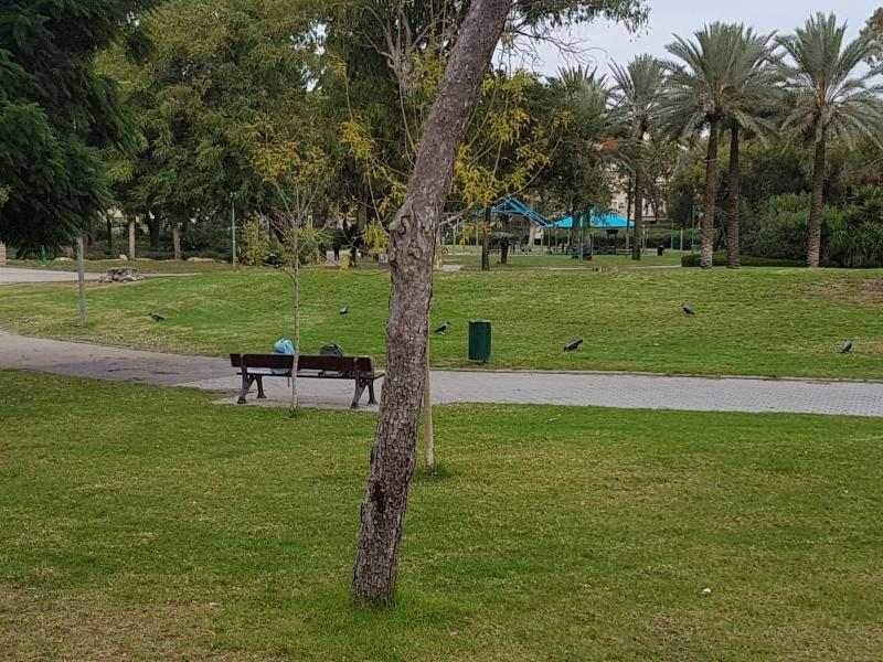 אזור התצפית בקרית חיים