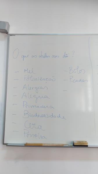 O que as abelhas nos dão