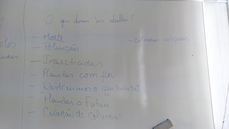 O que nos damos às abelhas