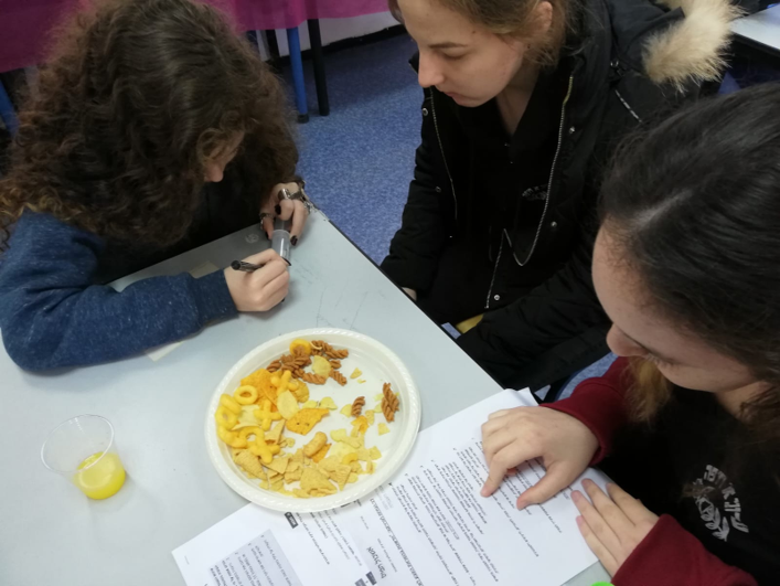 עבודה על הדגם