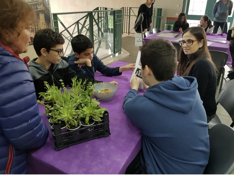 מספרים על המחקר בפני מורי החטיבה 